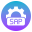 SAP COE Services